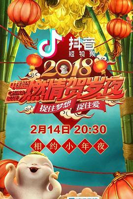 浙江卫视2018中国蓝燃情贺岁夜